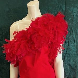 Red Hot Ball Gown Dress Feathered Custom Made One Shoulder Stunning